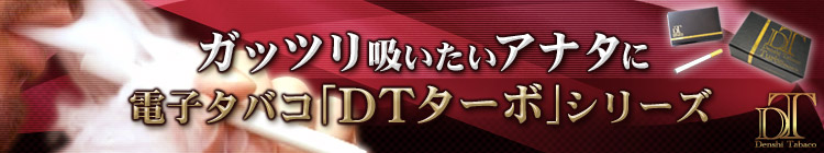�d�q�^�o�R�uDT�^�[�{�v�V���[�Y